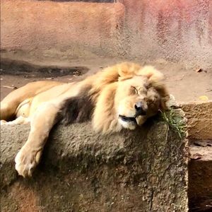 Meet your Posher, Troy